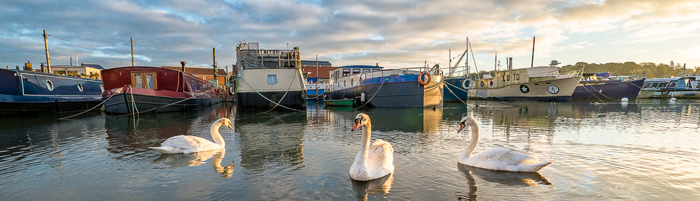 River Deben Association