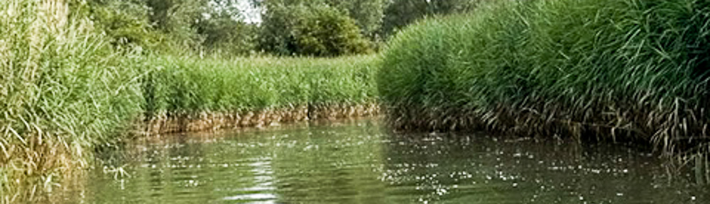 River Deben Association